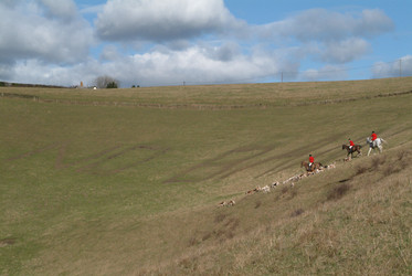 Similar image 7967525