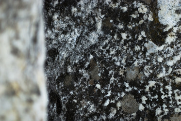 Similar image 7967535