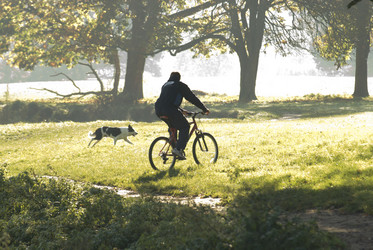 Similar image 7967541