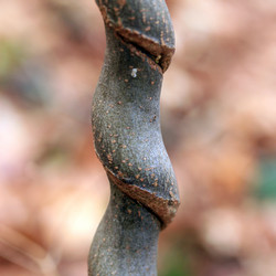 Similar image 7967543