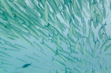 Similar image 7967553