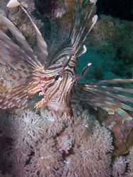 Similar image 7967565