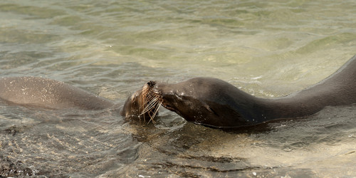 Similar image 7967566