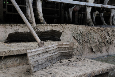 Similar image 7967569