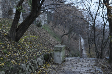 Similar image 7967570