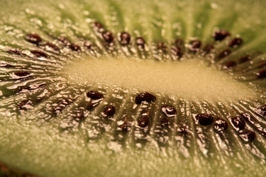 Similar image 7967578