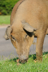 Similar image 7967579