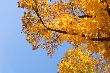 Similar image 7967580