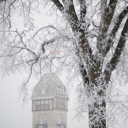 Similar image 7967613