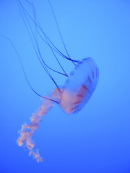 Similar image 7967614