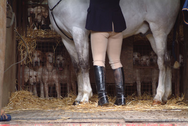 Similar image 7967619