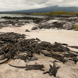 Similar image 7967621