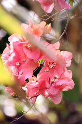 Similar image 7967632