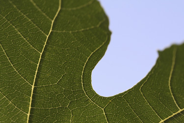 Similar image 7967643