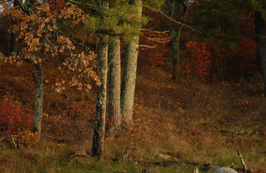 Similar image 7967645