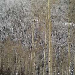 Similar image 7967647