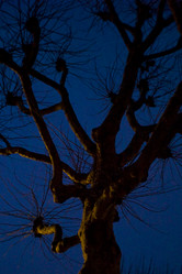 Similar image 7967654