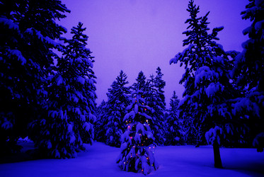 Similar image 7967659