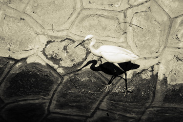 Similar image 7967675