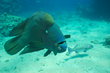 Similar image 7967686