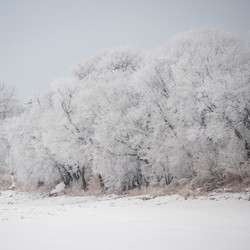 Similar image 7967690