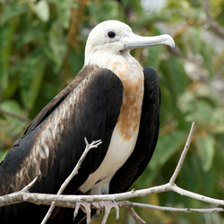 Similar image 7967693