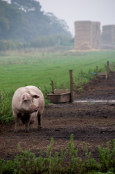 Similar image 7967698