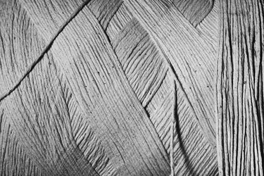 Similar image 7967701