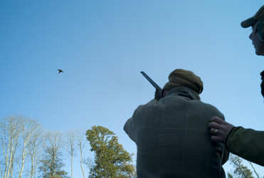 Similar image 7967704