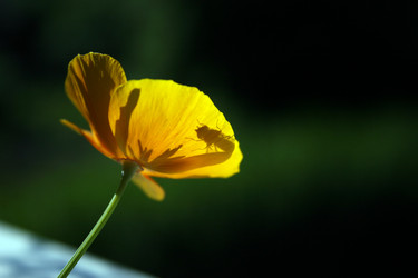 Similar image 7967707