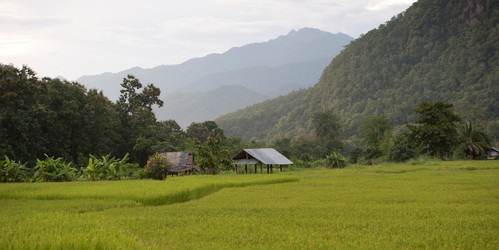 Similar image 7967708