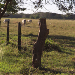 Similar image 7967712