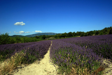 Similar image 7967714