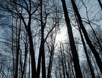 Similar image 7967716