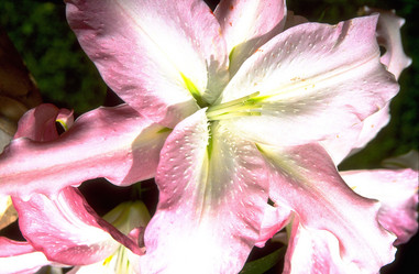 Similar image 7967723