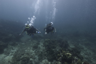 Similar image 7967725