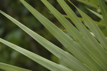 Similar image 7967731