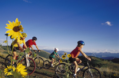 Similar image 7967743