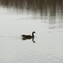 Similar image 7967749