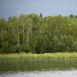 Similar image 7967753