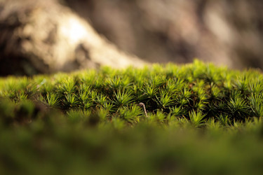 Similar image 7967759