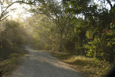 Similar image 7967761