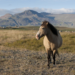 Similar image 7967763