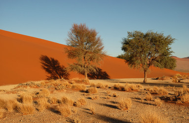 Similar image 7967771