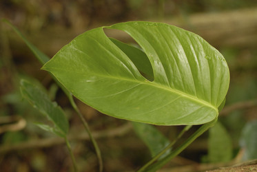 Similar image 7967778