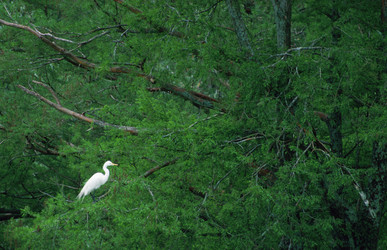 Similar image 7967785