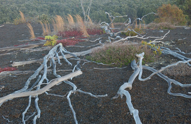 Similar image 7967790