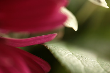 Similar image 7967791