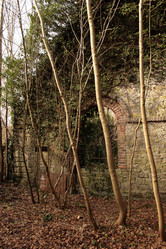 Similar image 7967794