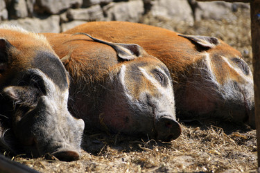 Similar image 7967818